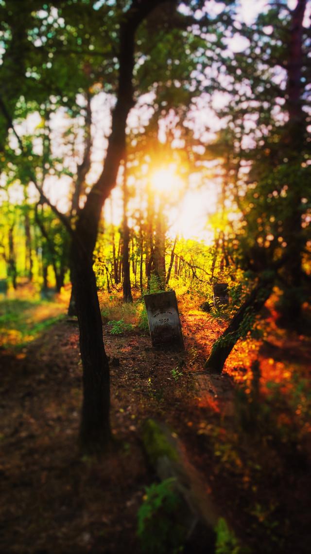 Wpis goreafotografuje