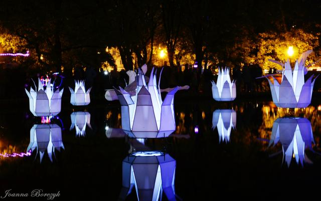 279. Light Move Festival