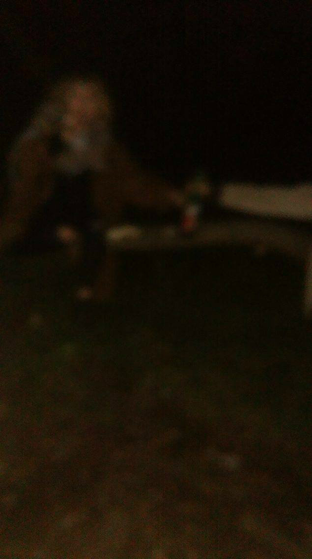 walc mi si ni