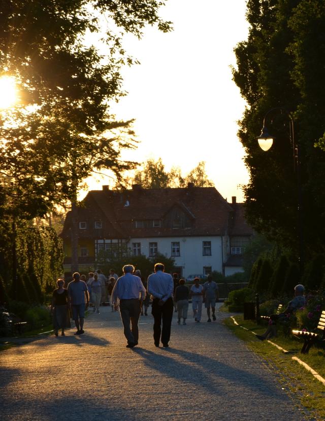 Przechadzka po alejce.