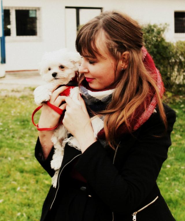 Wpis pawtosia