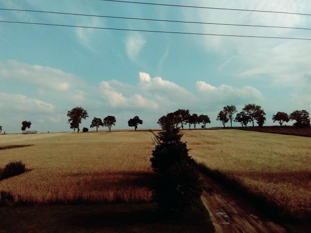 To zdjcie jeszcze z wakacji :) 