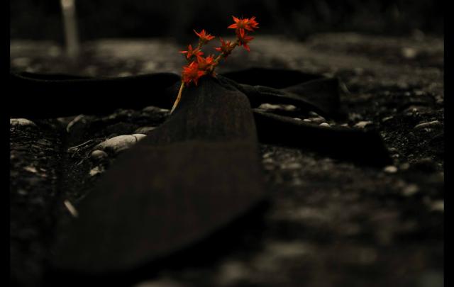 memento mori