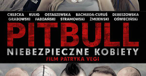pitbull niebezpieczne kobiety