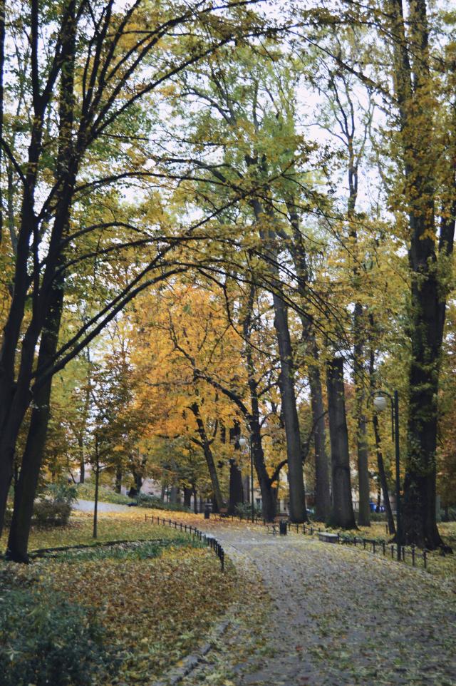 60. Autumn 