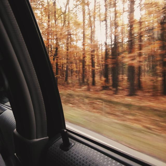 Autumn