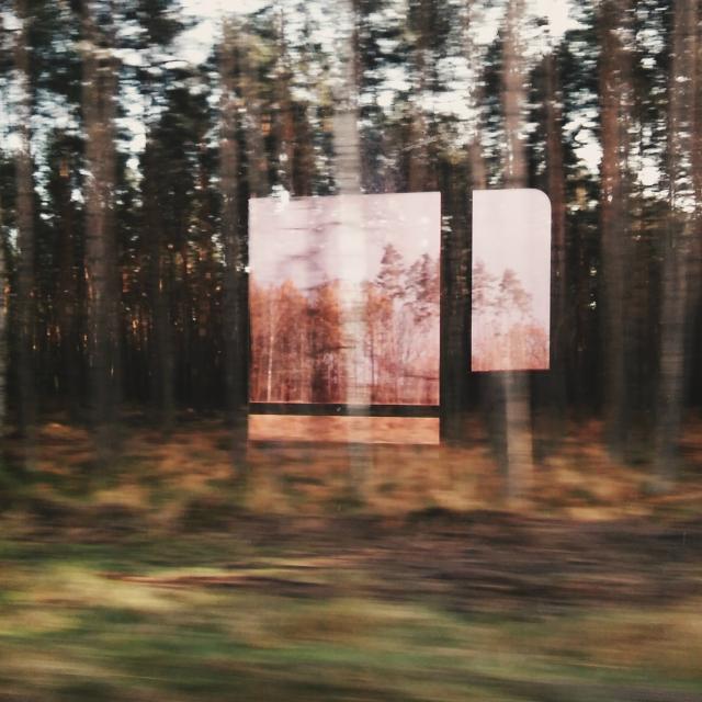 Train, forest and sun.