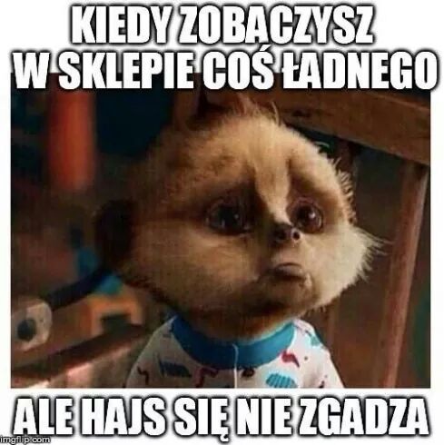 Dokadnie tak.