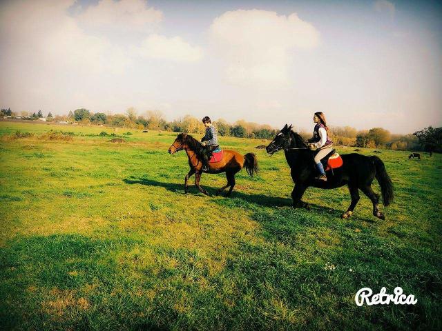 Wpis xxmatisiexx