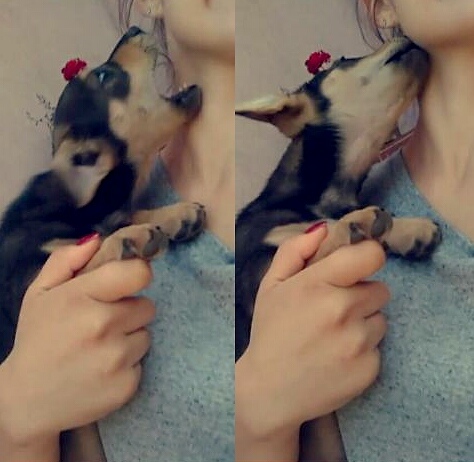 Wpis noxxxmore