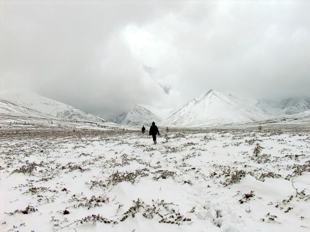 Wpis manneuka