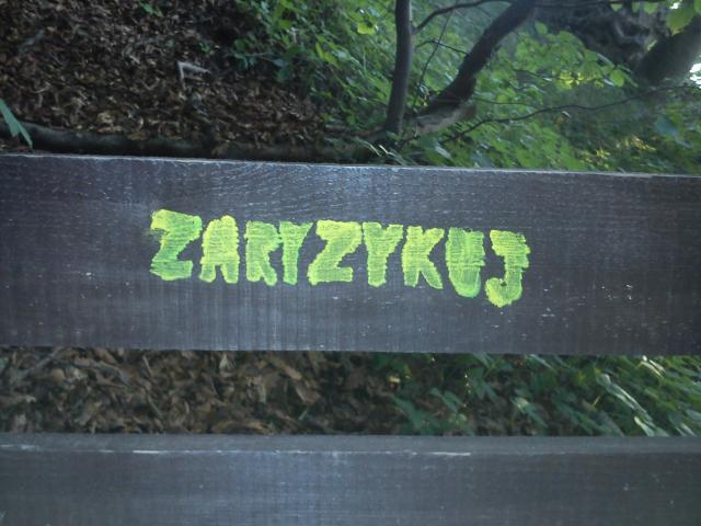 Wpis aarbei