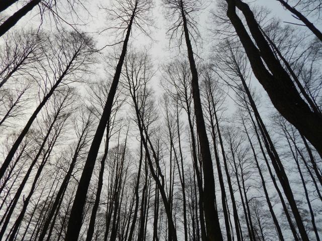 Wpis igaphotography