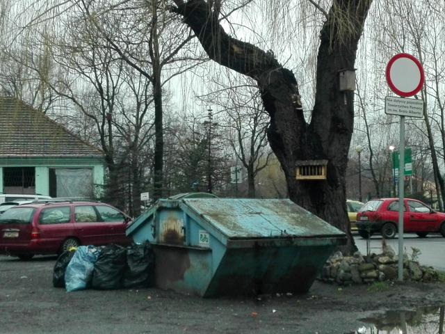 Wpis zimowanoc
