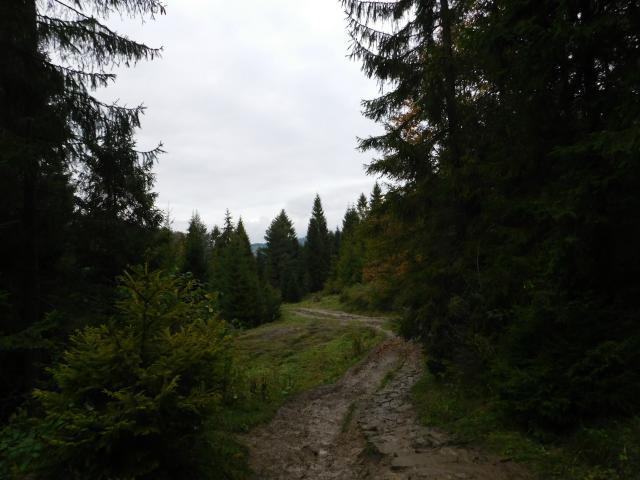 Wpis kurdeciastko
