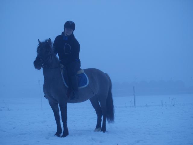 Wpis justonhorselive