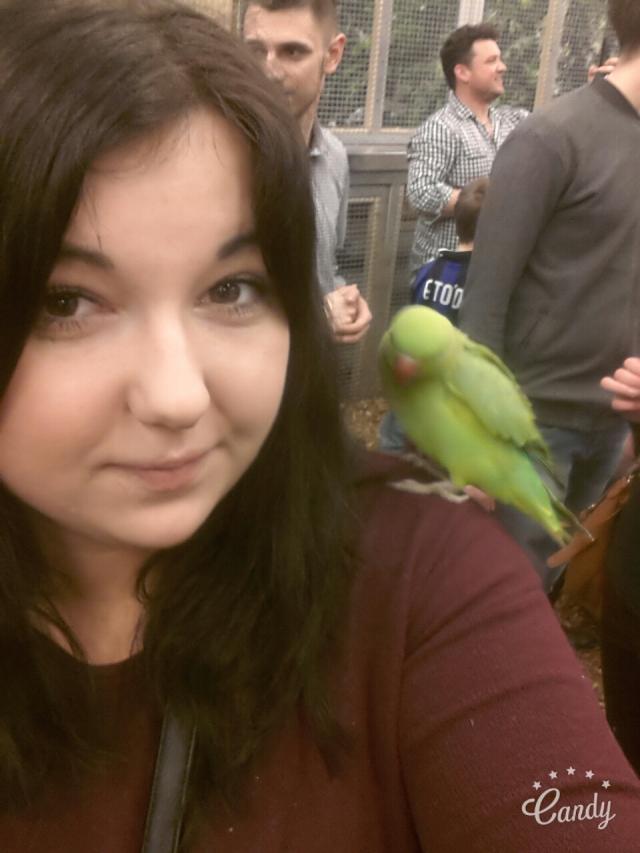 Papugarnia :-)