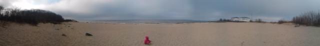 Wester 