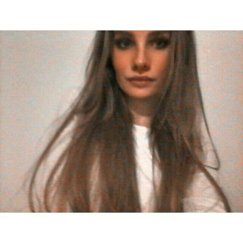 Wpis amarillena