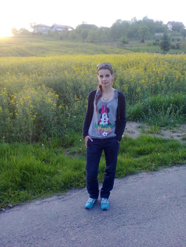 Wpis lenkas