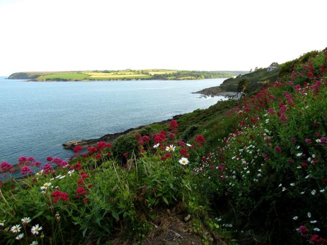 Myrtleville, Irlandia