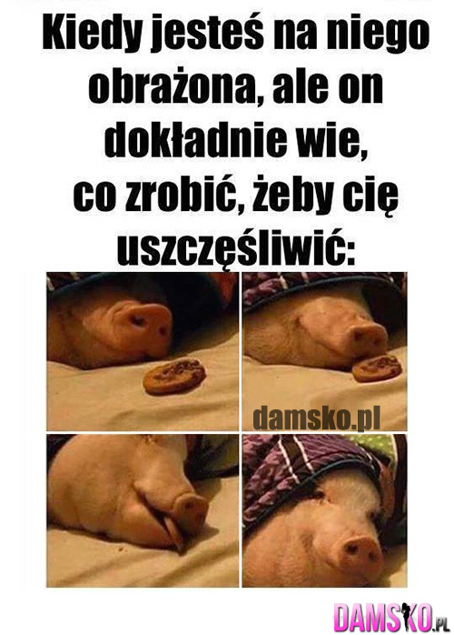 Wpis wkazdydzienwkazdanoc