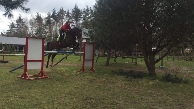 Wpis horseismyworld