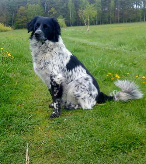 Mj pupilek...:*