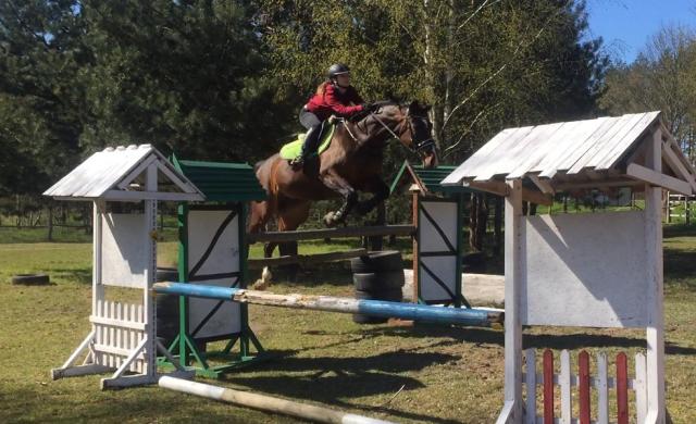 Wpis horseismyworld