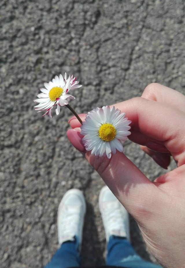 Wpis dziewczynapaulina