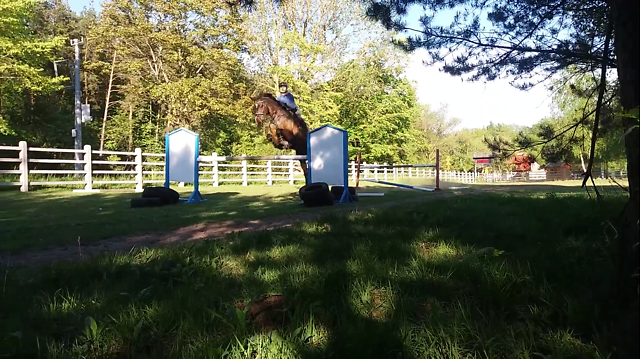 Wpis horseismyworld