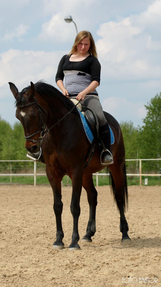 Wpis justonhorselive