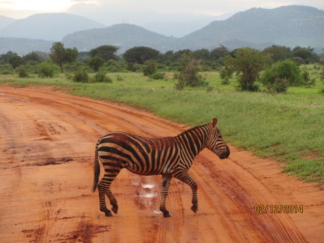 KENIA 2014