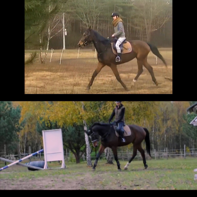 Wpis horseismyworld