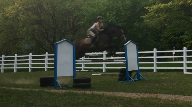 Wpis horseismyworld