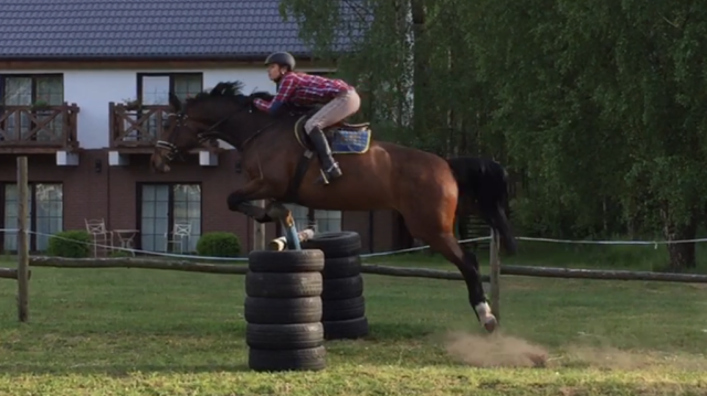 Wpis horseismyworld