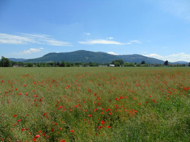 Ustro 