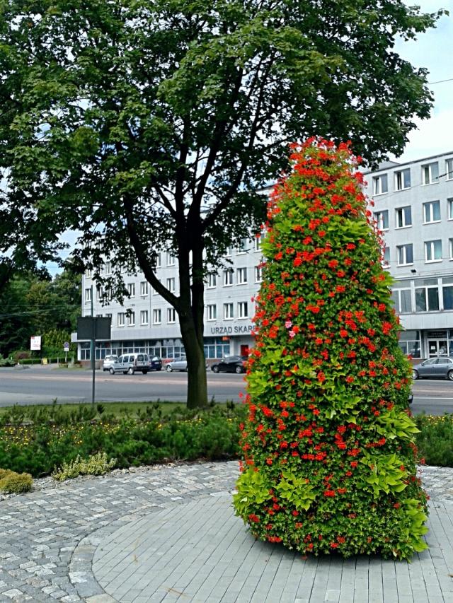 Wpis lukaszwlodarczyk85