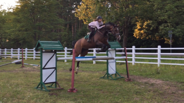 Wpis horseismyworld
