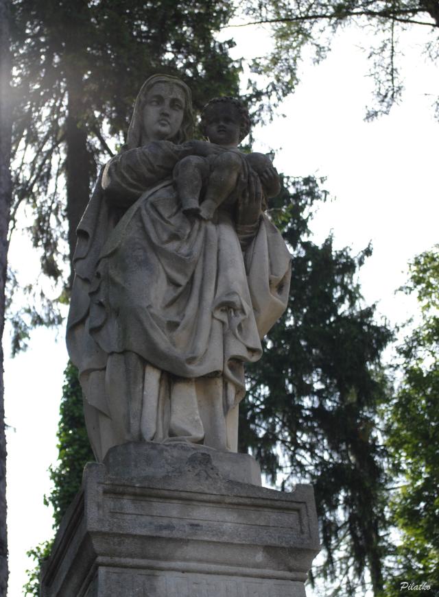 Wpis pilatko
