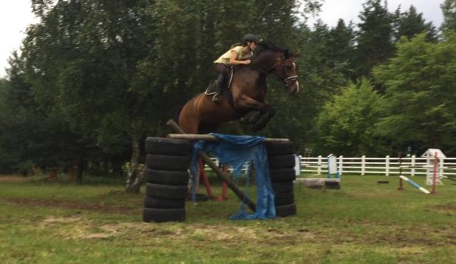 Wpis horseismyworld