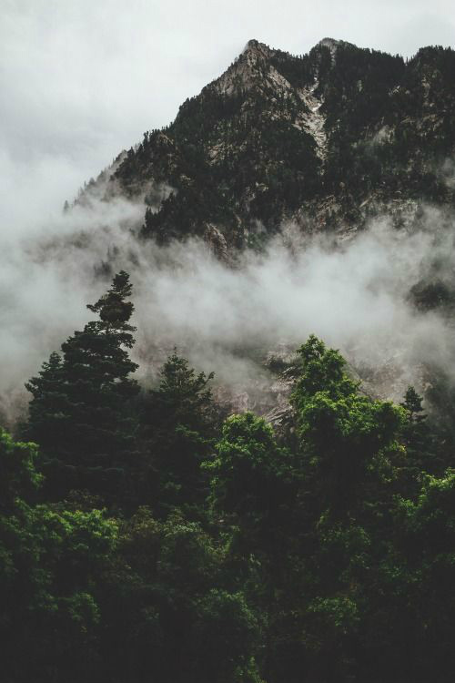 high hopes