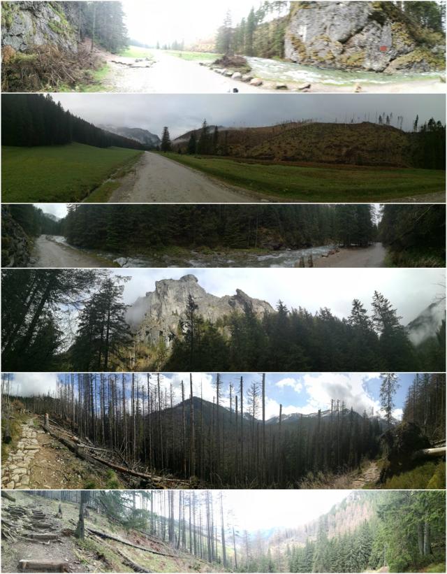 Panorama :)