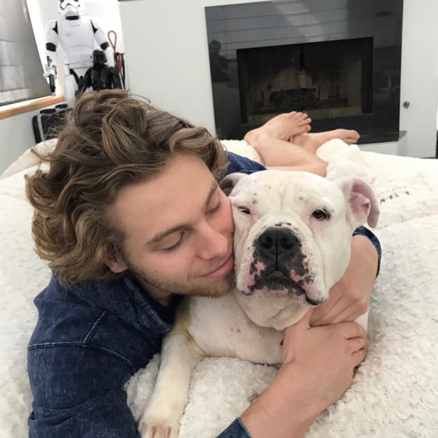 Petunia