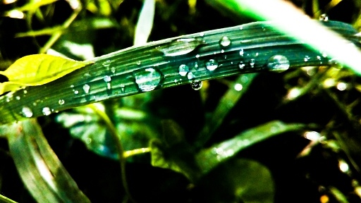 Wpis justysiekxphotography
