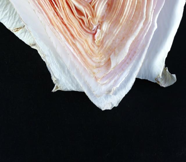 Wpis extramundum