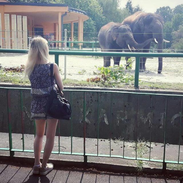 blondi.