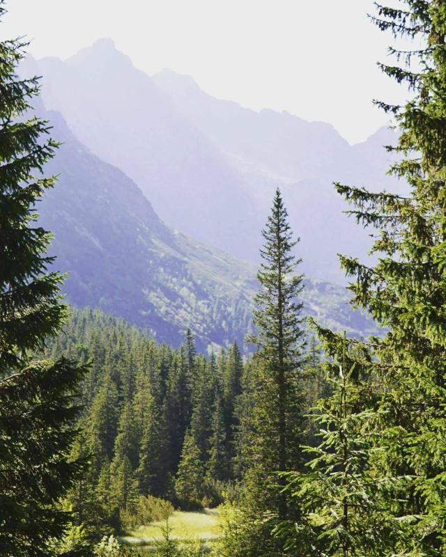 TATRY