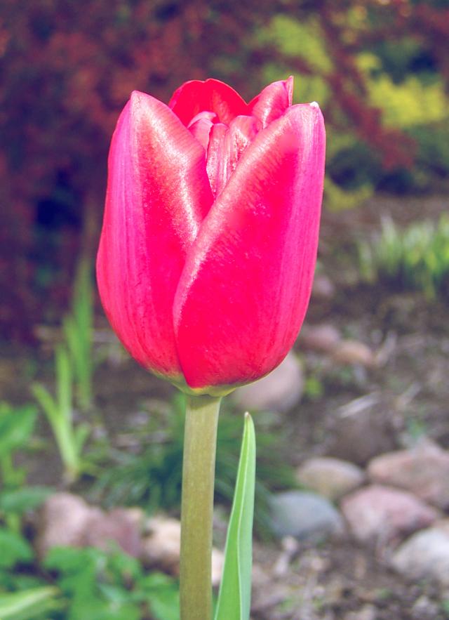 15/52