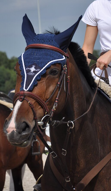 Wpis horseismyworld